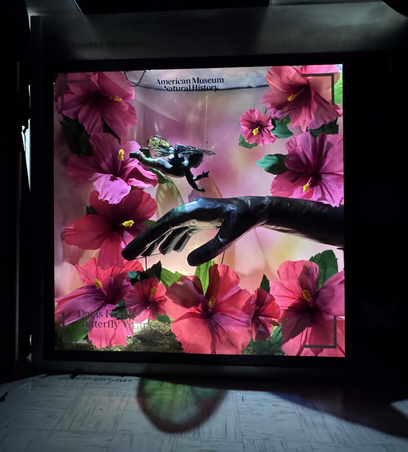 Finished installation with lighting